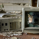 Image for article titled Riding Sharks, Counterfeiting $100 Bills, Crashing Drones, and More